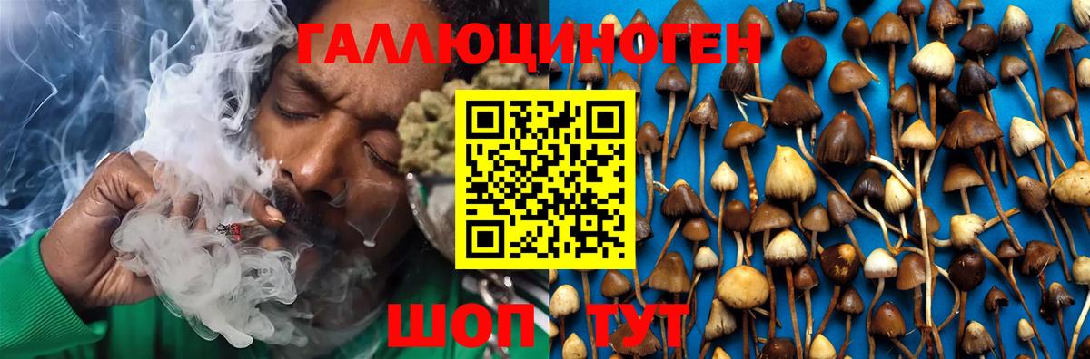 Псилоцибиновые грибы Magic Shrooms  Галлюциногенные грибы Magic Shrooms  Большой Камень  Вход с VPN 