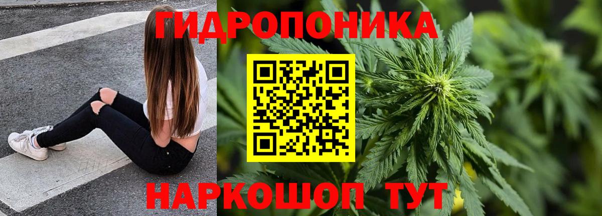 Бошки марихуана семена Большой Камень